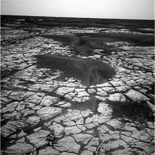 Opportunity Rover photo of Martian surface