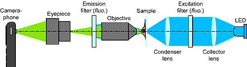 Cellscope diagram from UC, Berkely