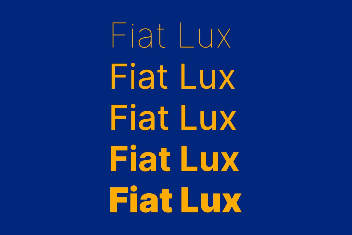 Examples of the brand typography spelling out Fiat Lux